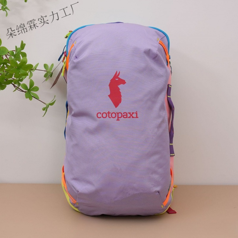 Водонепроницаемый рюкзак с цве – обзор и цена Women Bags Large